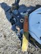 2025 SUZUKI GSX-R750  for sale at Copart KY - EARLINGTON