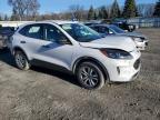 Albany, NY에서 판매 중인 2022 Ford Escape S - Front End