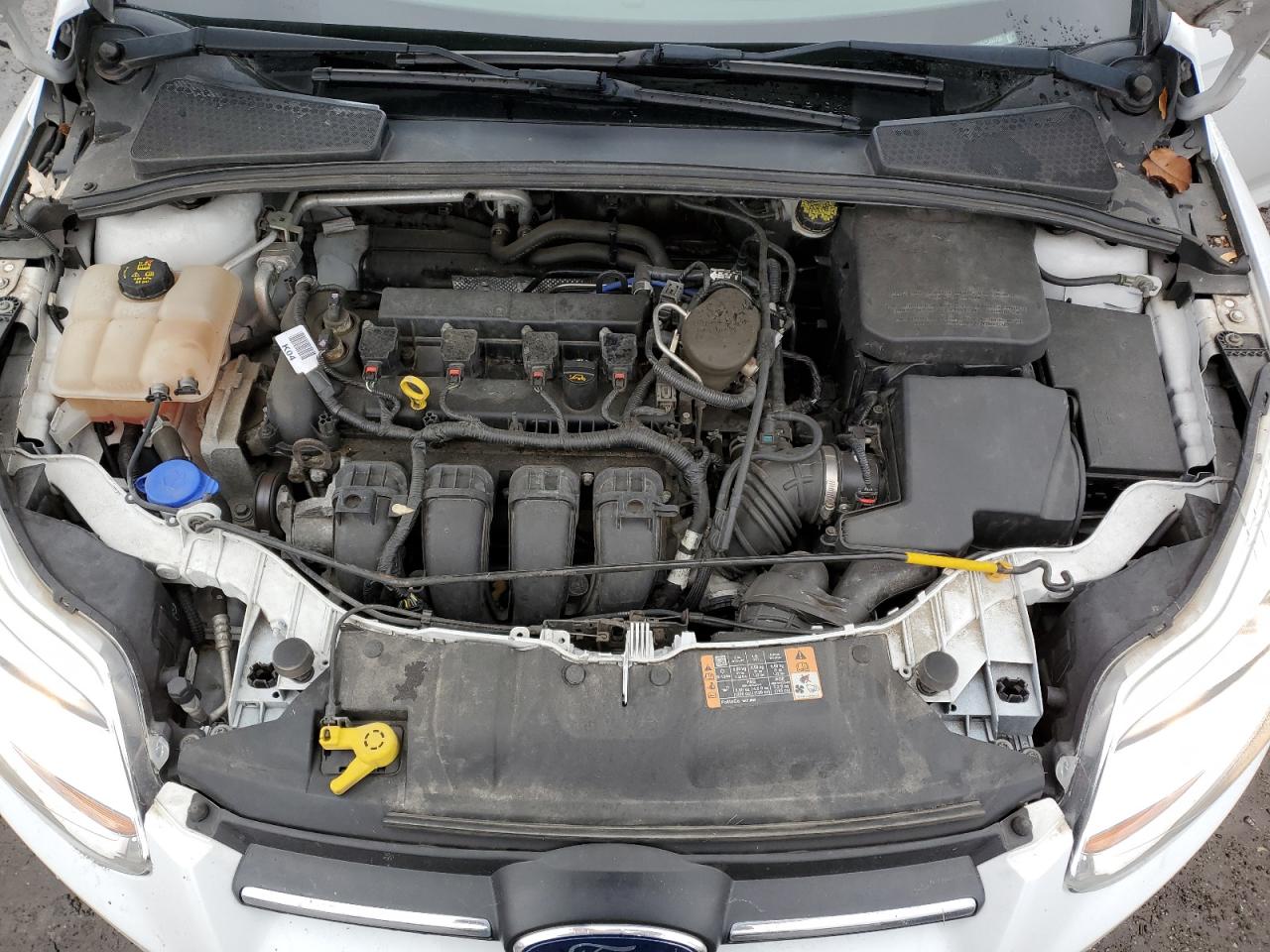 2014 Ford Focus Se VIN: 1FADP3F25EL454750 Lot: 81588494