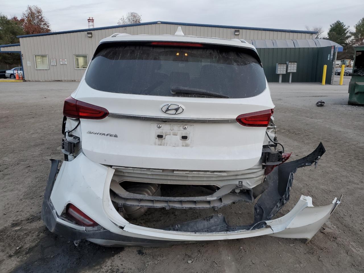 2019 Hyundai Santa Fe Sel VIN: 5NMS33AD1KH010025 Lot: 78810394