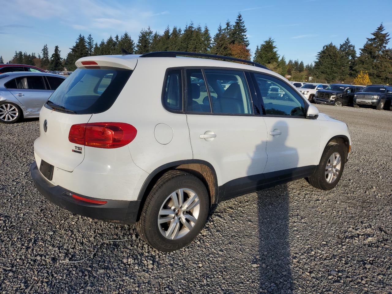 2017 Volkswagen Tiguan - Image 3