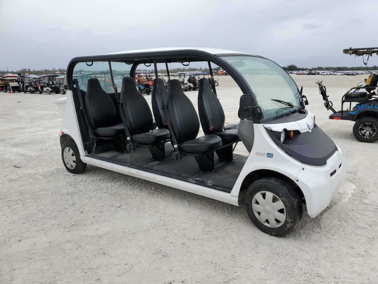 2018 Global Electric Motors E6  for Sale in Arcadia, FL - Water/Flood