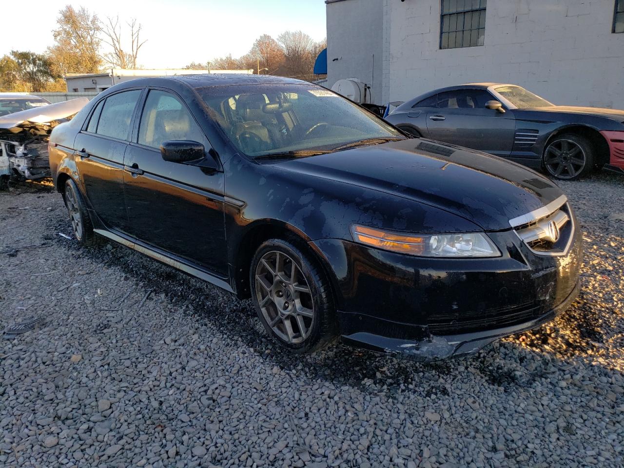 2006 Acura 3.2Tl VIN: 19UUA66266A001300 Lot: 79391484