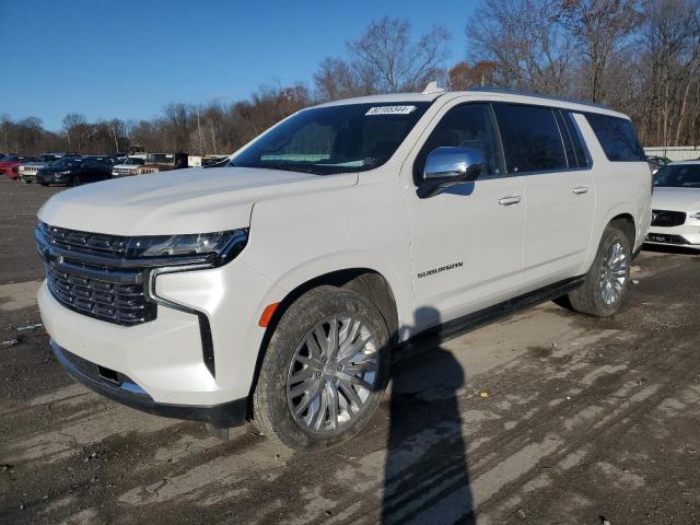  CHEVROLET SUBURBAN 2023 Белы