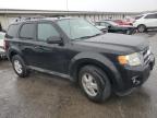 2011 Ford Escape Xlt للبيع في Louisville، KY - Side