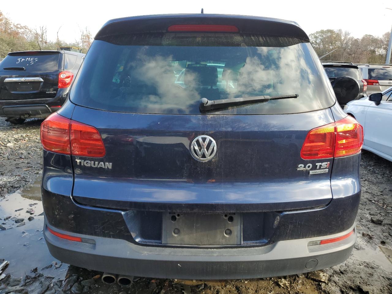 2014 Volkswagen Tiguan S VIN: WVGBV3AX9EW545704 Lot: 79780944