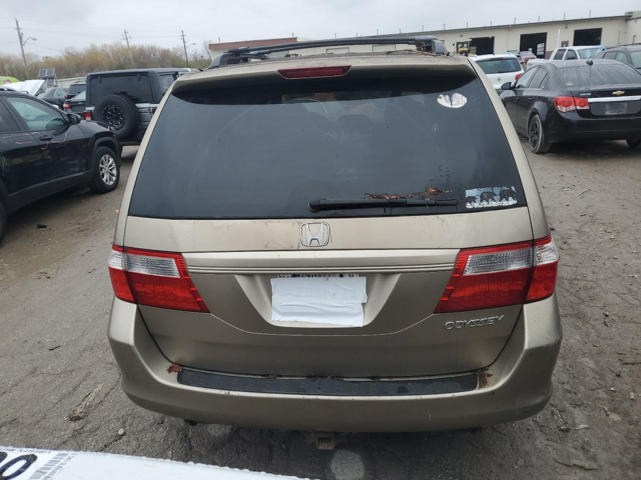 2005 Honda Odyssey Ex VIN: 5FNRL38495B037287 Lot: 80973484