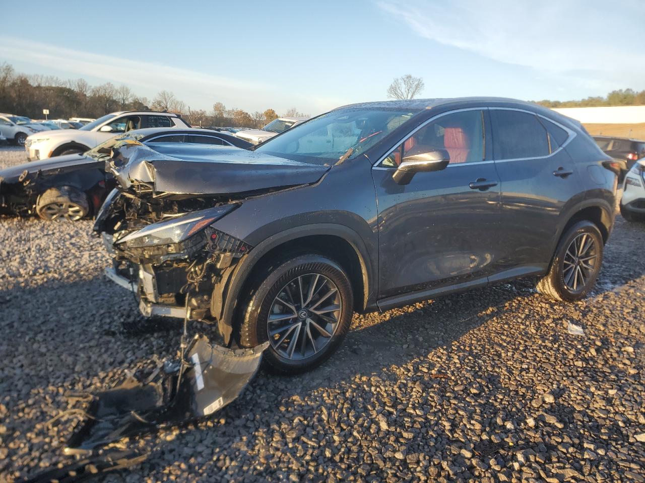 2022 Lexus NX - Image 1