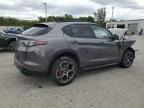 2024 Alfa Romeo Stelvio Ti for Sale in Miami, FL - Front End