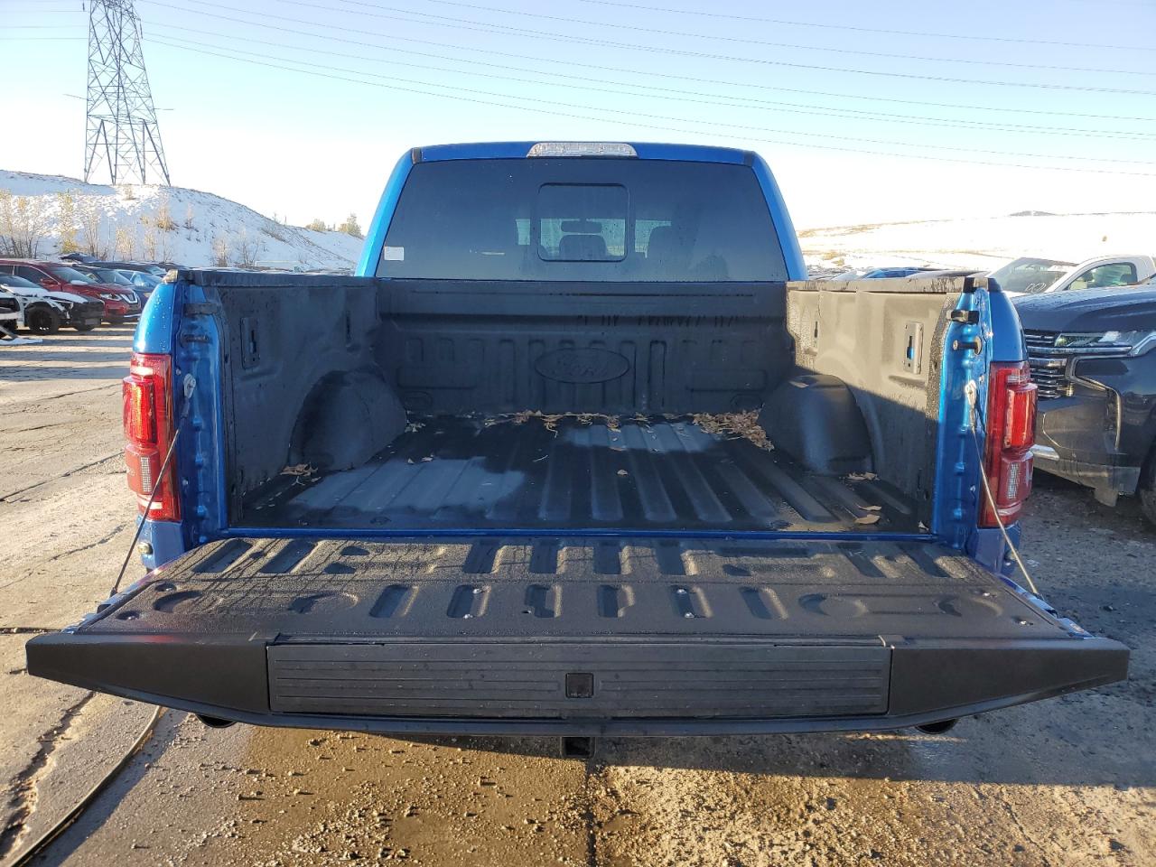 2017 Ford F150 Raptor VIN: 1FTFW1RG7HFC20145 Lot: 79493234