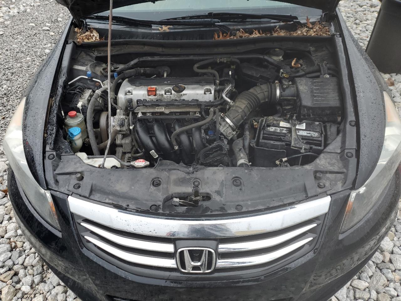 2011 Honda Accord - Image 11