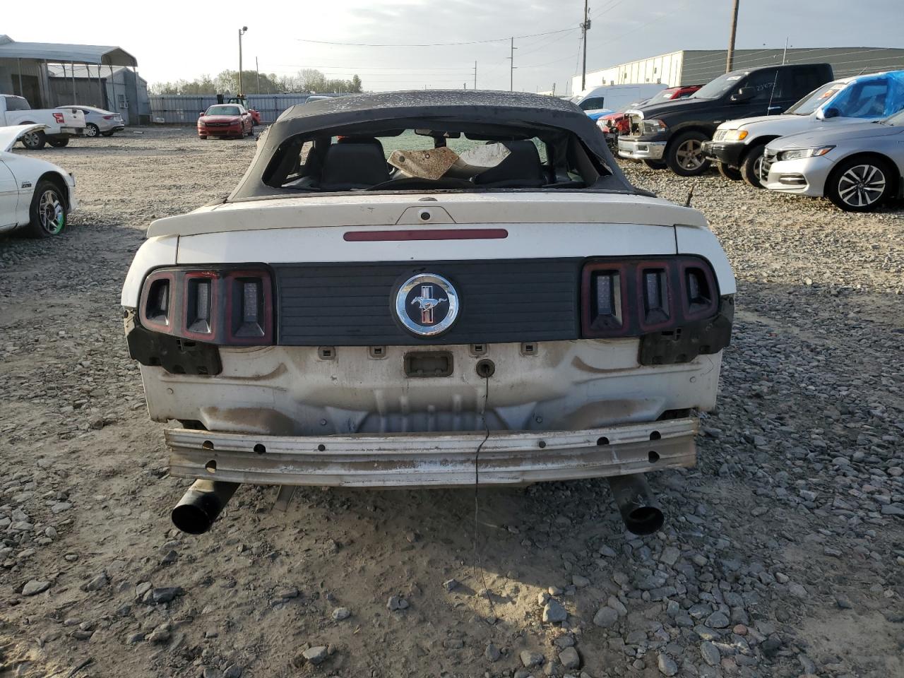 2013 Ford Mustang VIN: 1ZVBP8EM4D5263547 Lot: 80510984