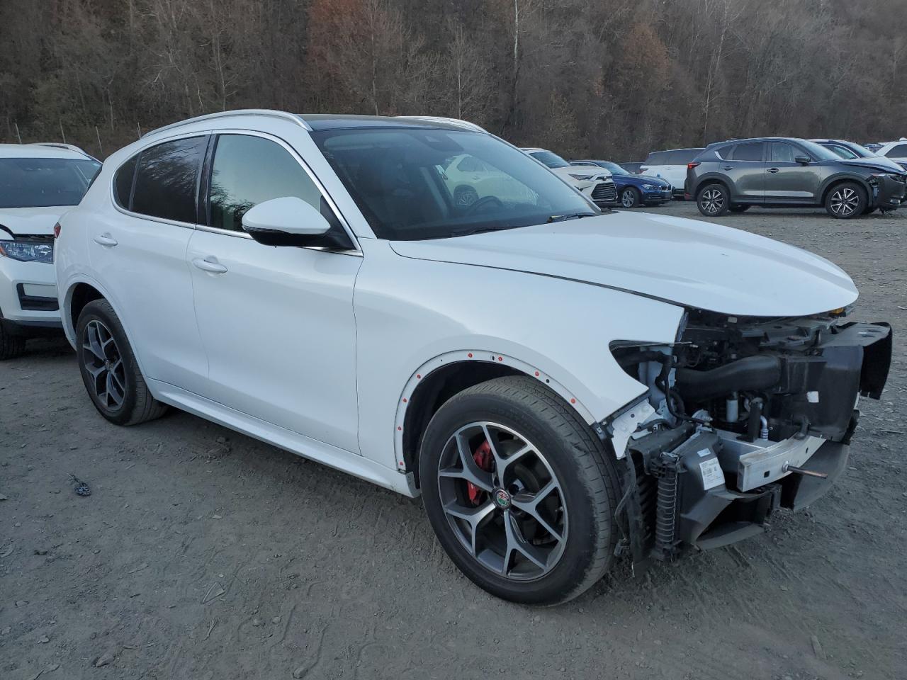 2020 Alfa Romeo Stelvio - Image 4