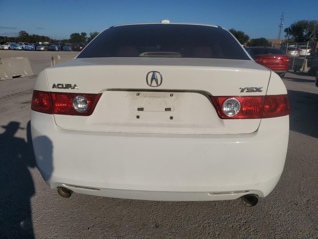 2005 Acura Tsx VIN: JH4CL96855C016687 Lot: 81229044