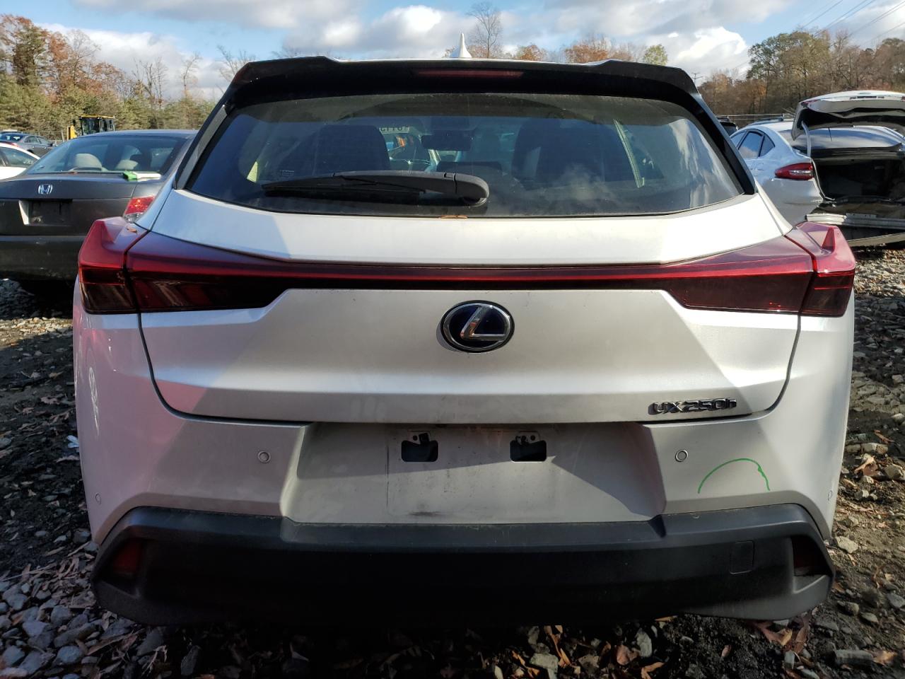 2020 Lexus Ux 250H VIN: JTHP9JBH1L2020200 Lot: 81130964