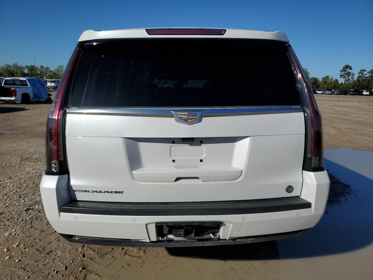 2020 Cadillac Escalade Esv Platinum VIN: 1GYS4KKJ4LR270678 Lot: 79452764