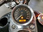 2006 Harley-Davidson Fxdli  for Sale in Ham Lake, MN - All Over