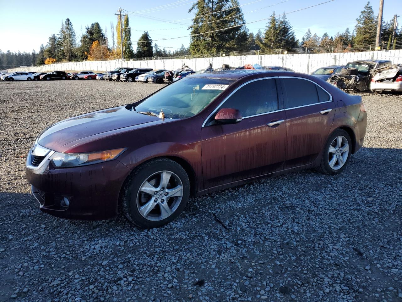 2010 Acura TSX - Image 1