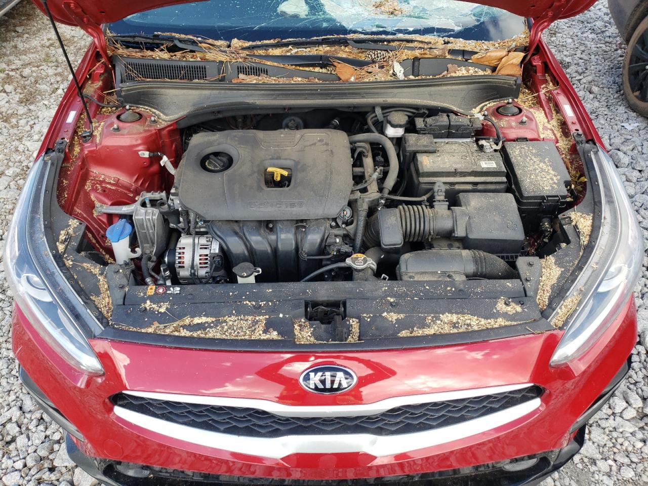 2021 Kia Forte Fe VIN: 3KPF24ADXME265745 Lot: 78825064