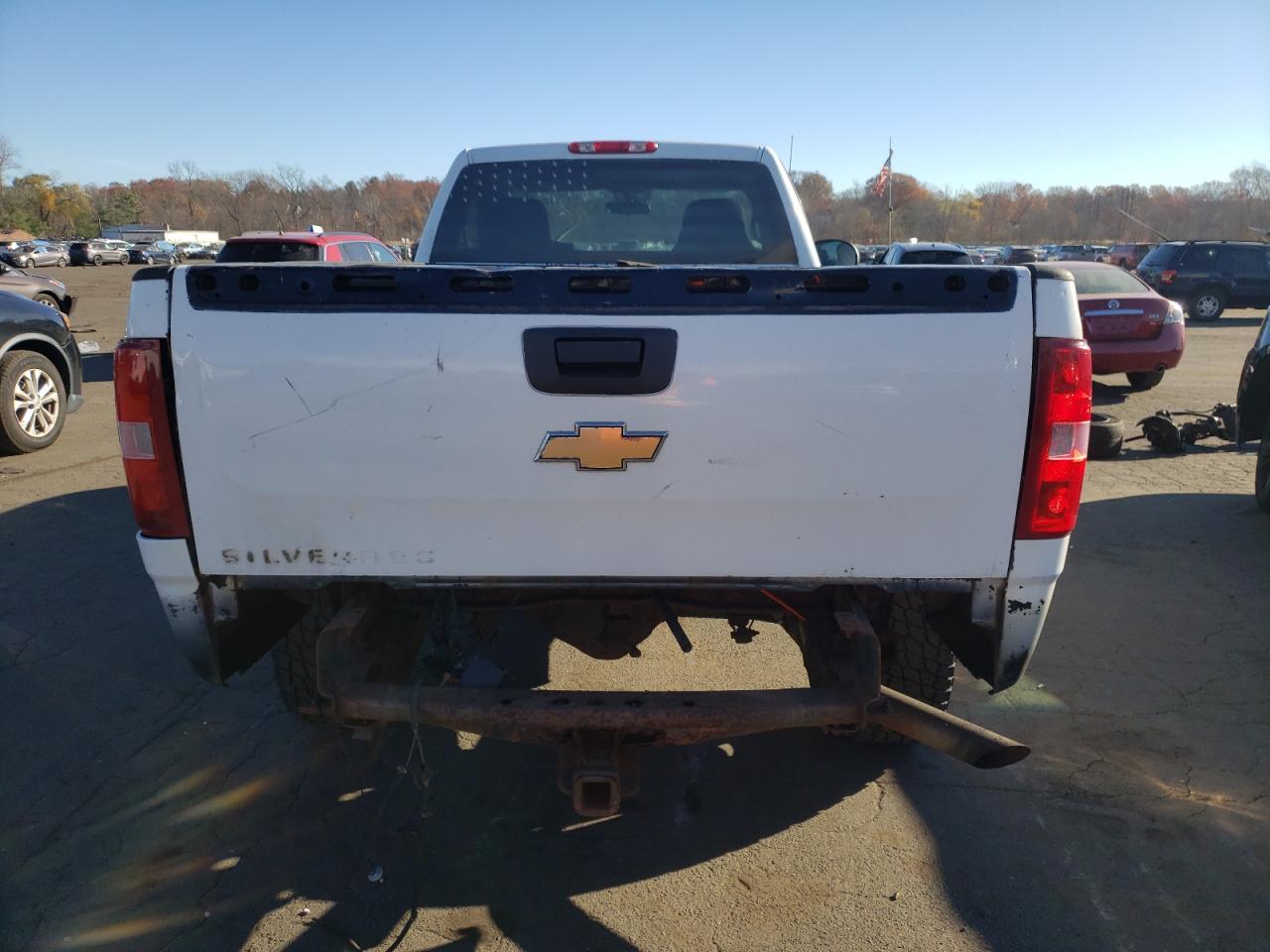 2010 Chevrolet Silverado K2500 Heavy Duty VIN: 1GC3KVBG4AF129047 Lot: 79622404