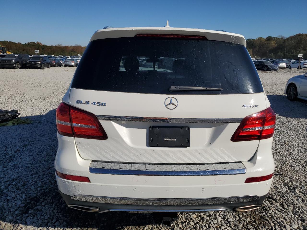 2017 Mercedes-Benz Gls 450 4Matic VIN: 4JGDF6EE5HA918769 Lot: 82148044