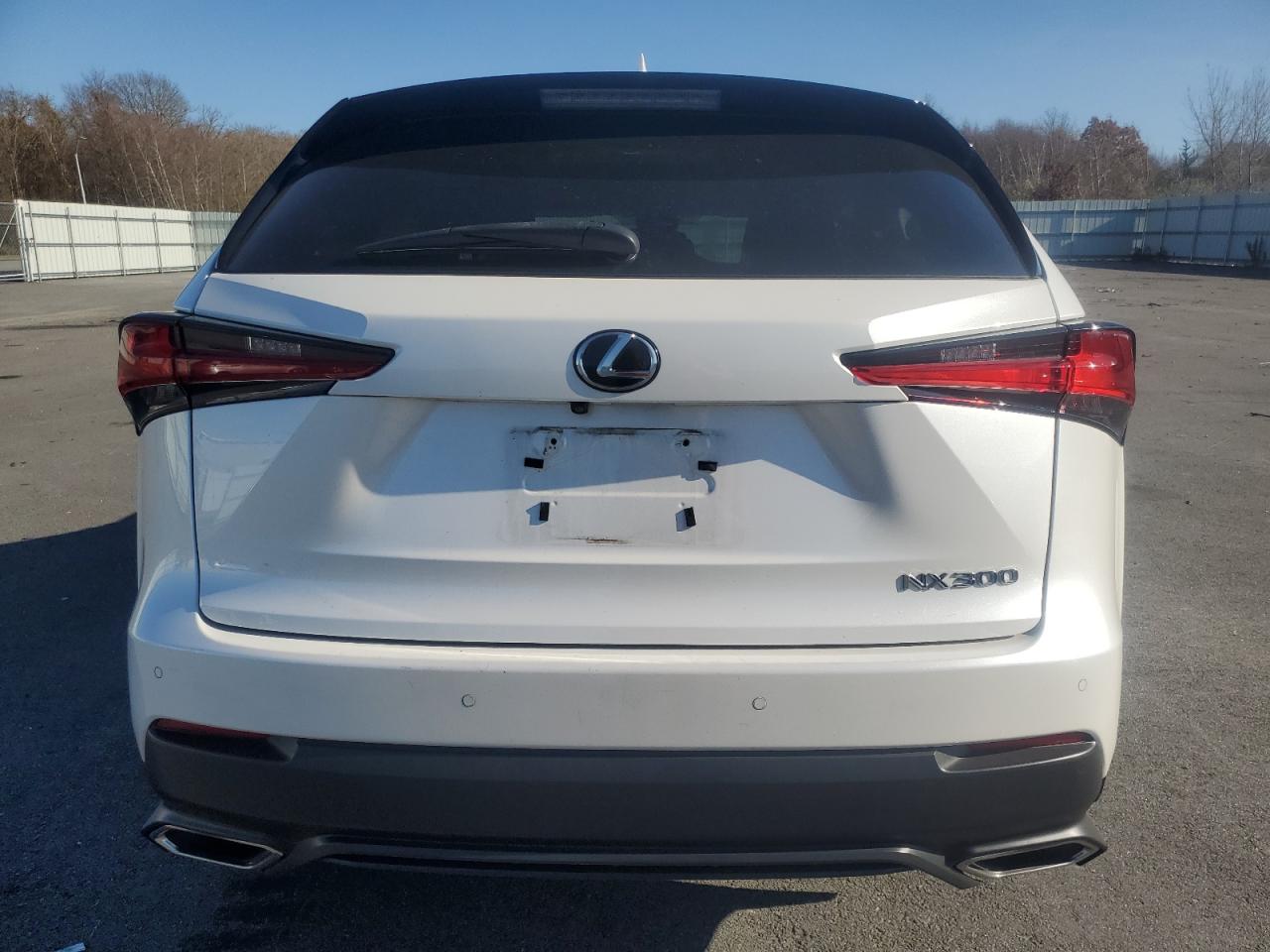 2019 Lexus NX - Image 6