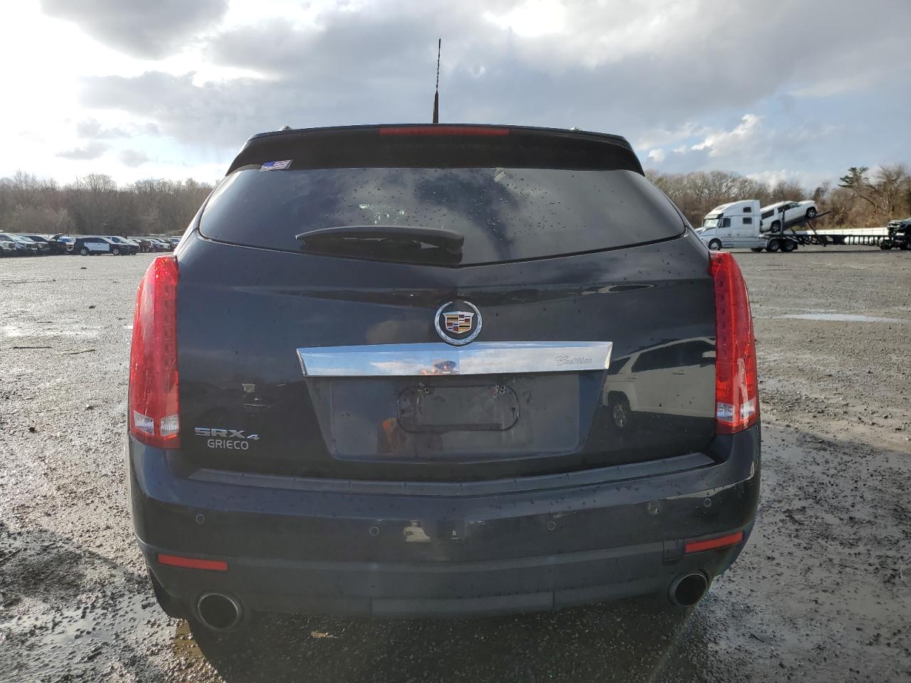 2010 Cadillac Srx Luxury Collection VIN: 3GYFNDEY0AS609143 Lot: 81525524