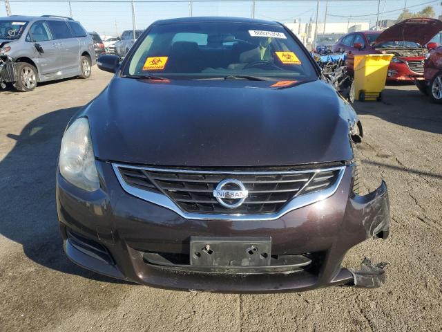  NISSAN ALTIMA 2013 Фіолетовий