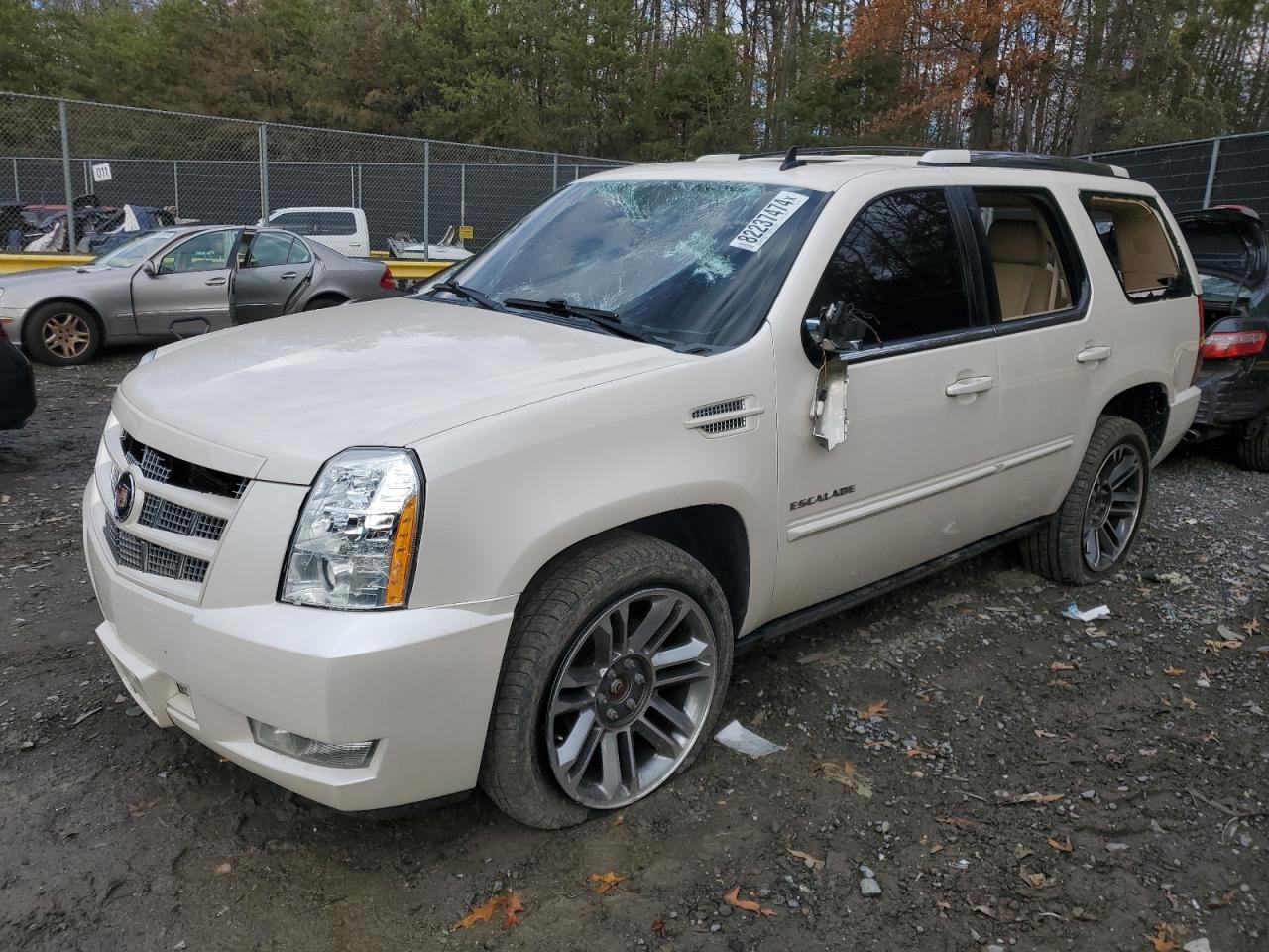 2013 Cadillac Escalade - Image 1