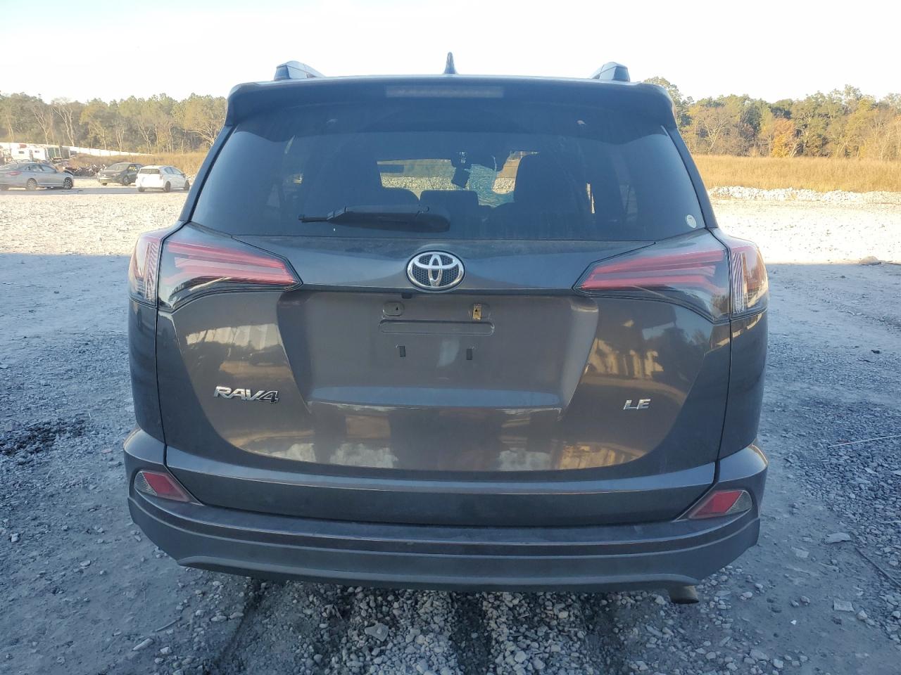 2017 Toyota Rav4 Le VIN: 2T3ZFREV0HW313720 Lot: 80697554