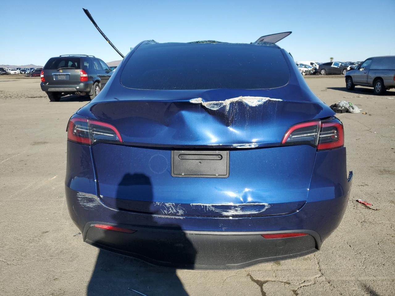 2023 Tesla Model Y VIN: 7SAYGDEE7PF817135 Lot: 82896014