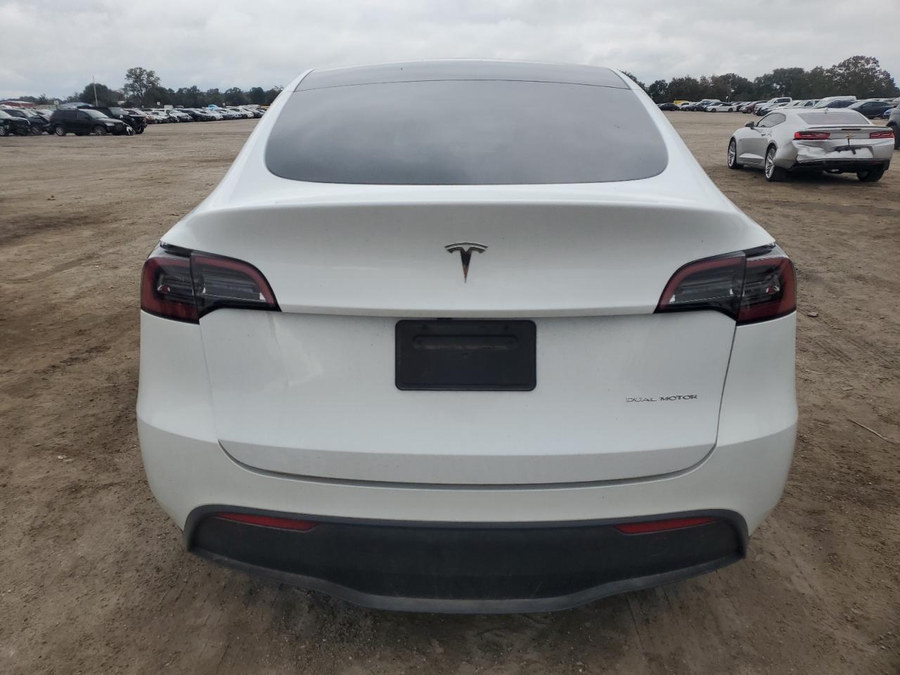 2023 Tesla Model Y VIN: 7SAYGAEE6PF801961 Lot: 82347244