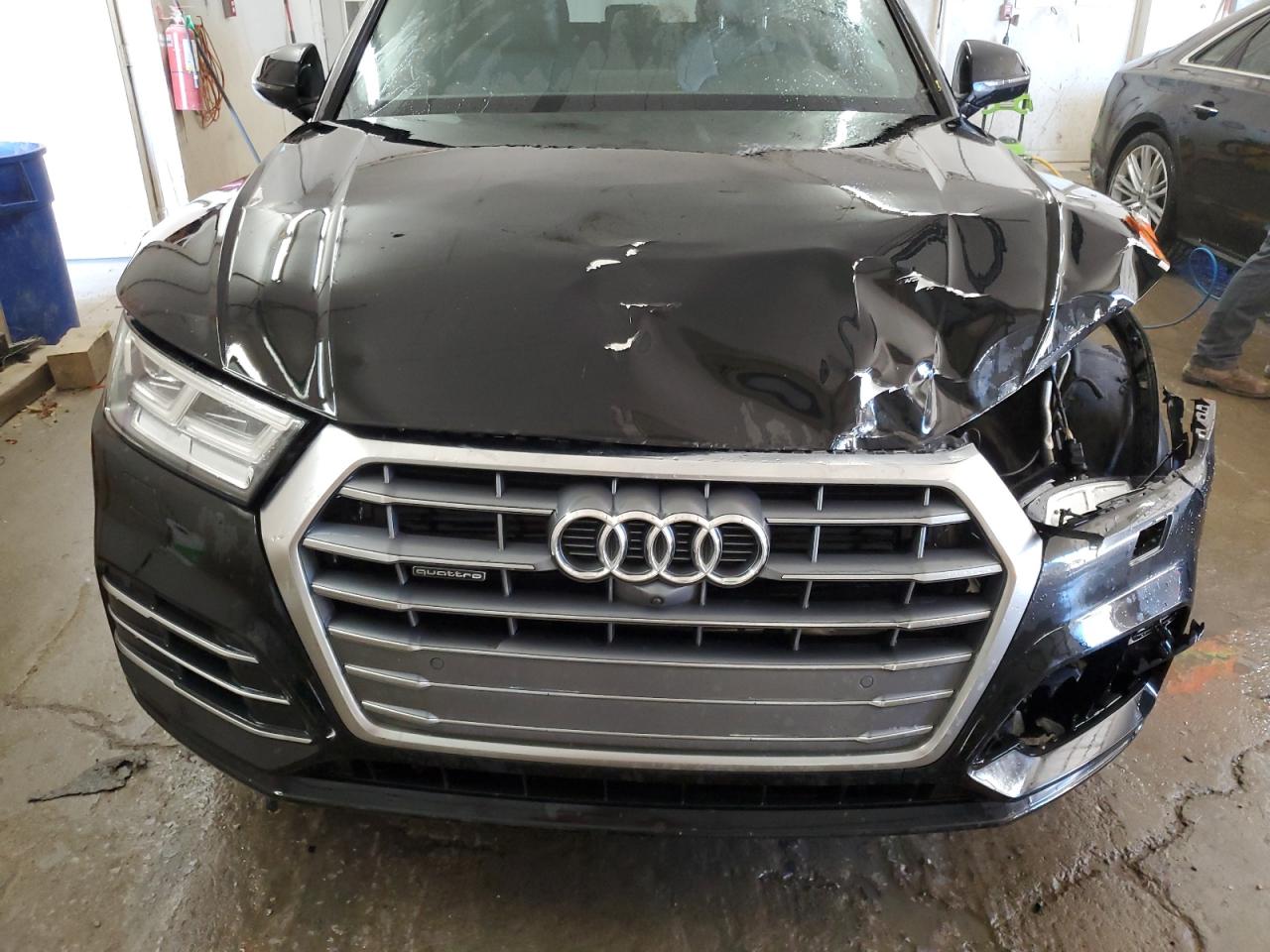 2019 Audi Q5 Technik S-Line VIN: WA1FNAFY4K2109304 Lot: 79096494