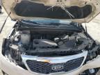 2011 Kia Sorento Base იყიდება Jacksonville-ში, FL - Front End