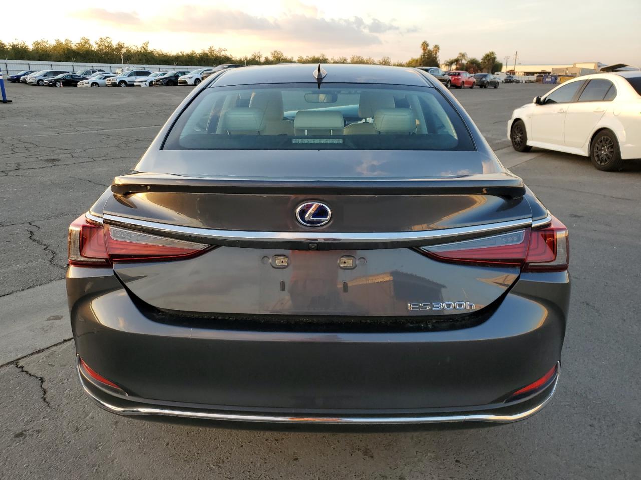 2022 Lexus Es 300H Base VIN: 58AEA1C19NU025089 Lot: 80457754