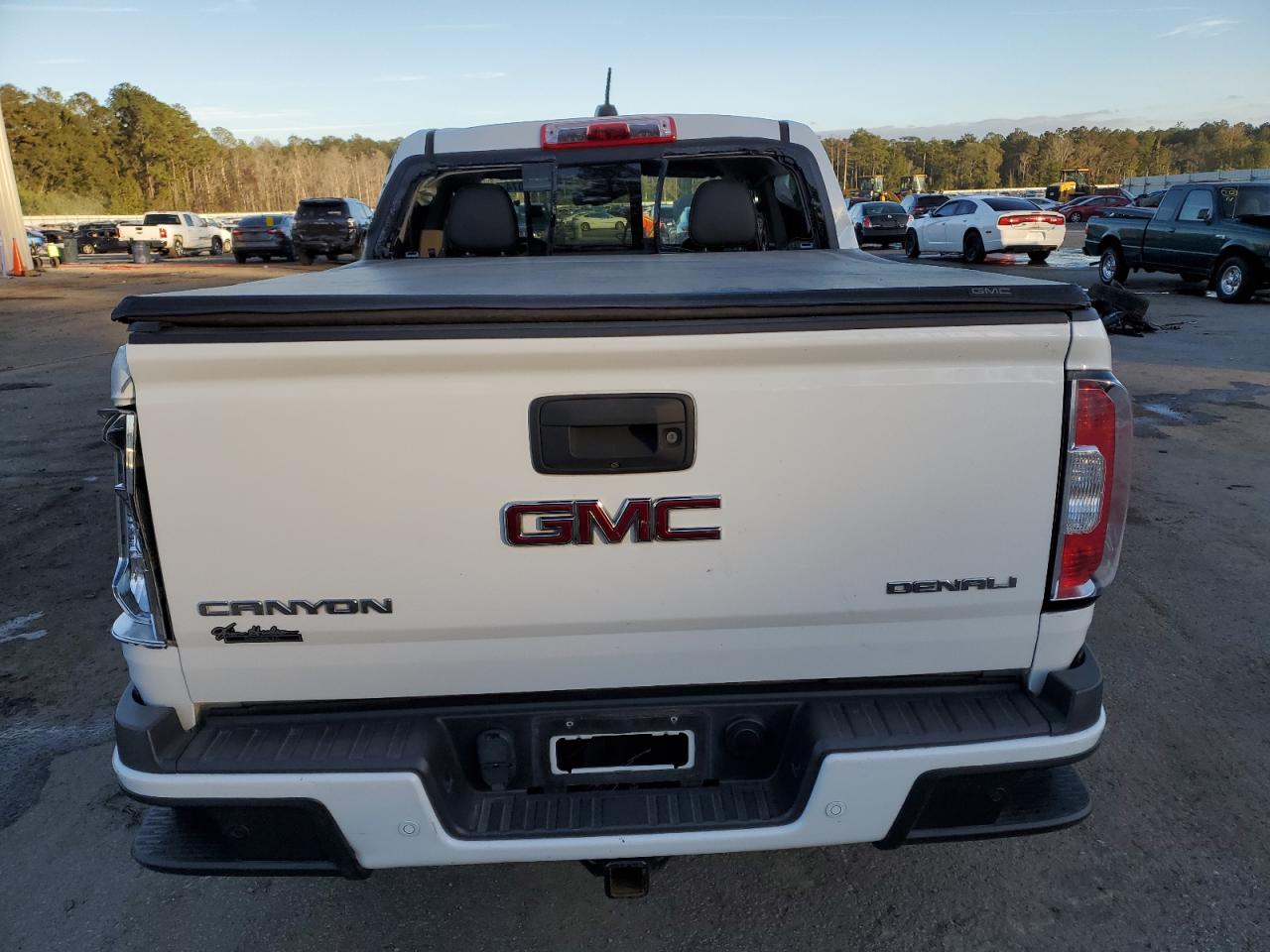 2019 GMC Canyon Denali VIN: 1GTG6EEN1K1134169 Lot: 80033074