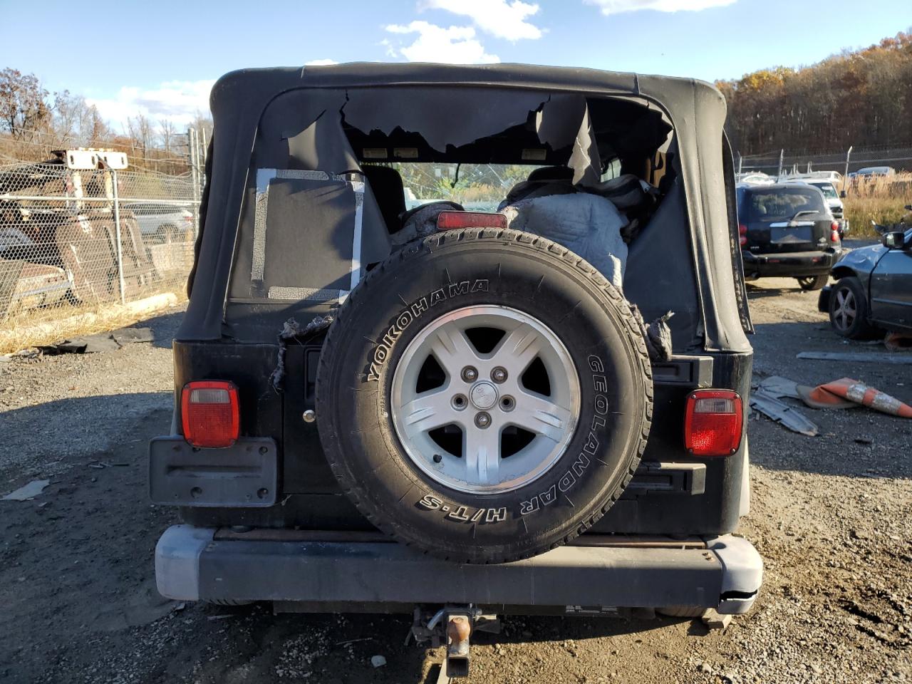 2004 Jeep Wrangler / Tj Sport VIN: 1J4FA49S64P767460 Lot: 78845914