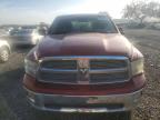 2009 Dodge Ram 1500  продається в Riverview, FL - Water/Flood