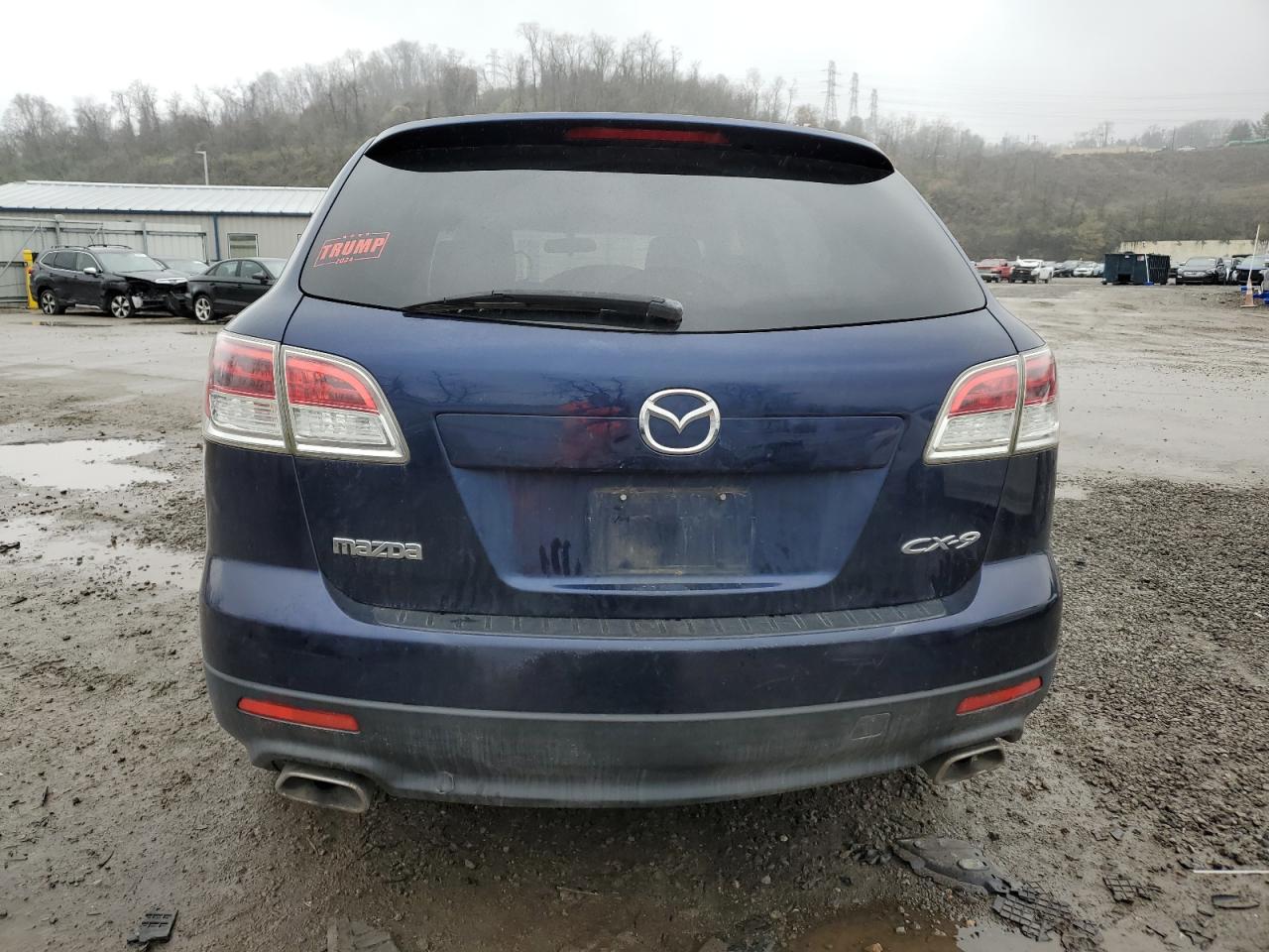 2007 Mazda Cx-9 VIN: JM3TB38Y270117762 Lot: 80709594