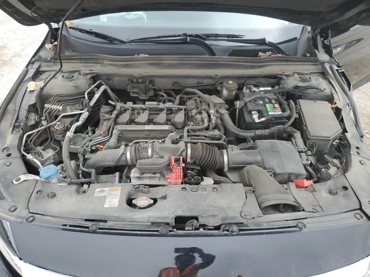2019 Honda Accord - Image 12