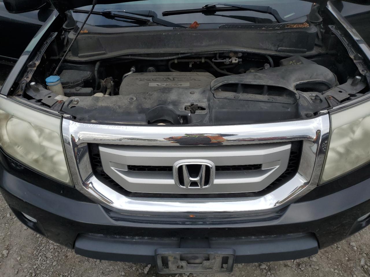 5FNYF48559B018243 2009 Honda Pilot Exl