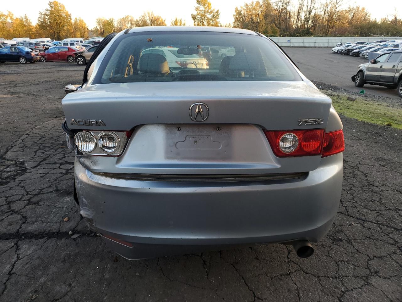 2004 Acura Tsx VIN: JH4CL96944C005302 Lot: 79573844