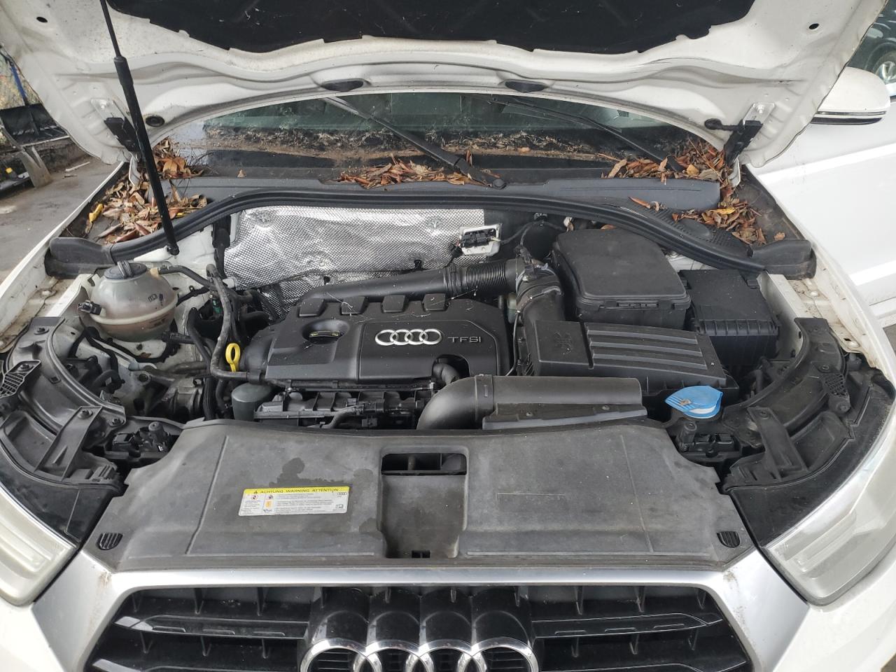 2016 Audi Q3 Premium Plus VIN: WA1BFCFS8GR007036 Lot: 80195924