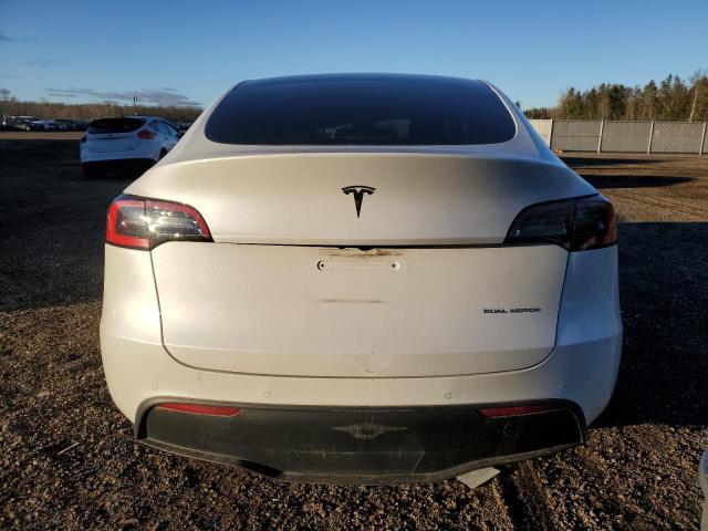  TESLA MODEL Y 2021 Белы