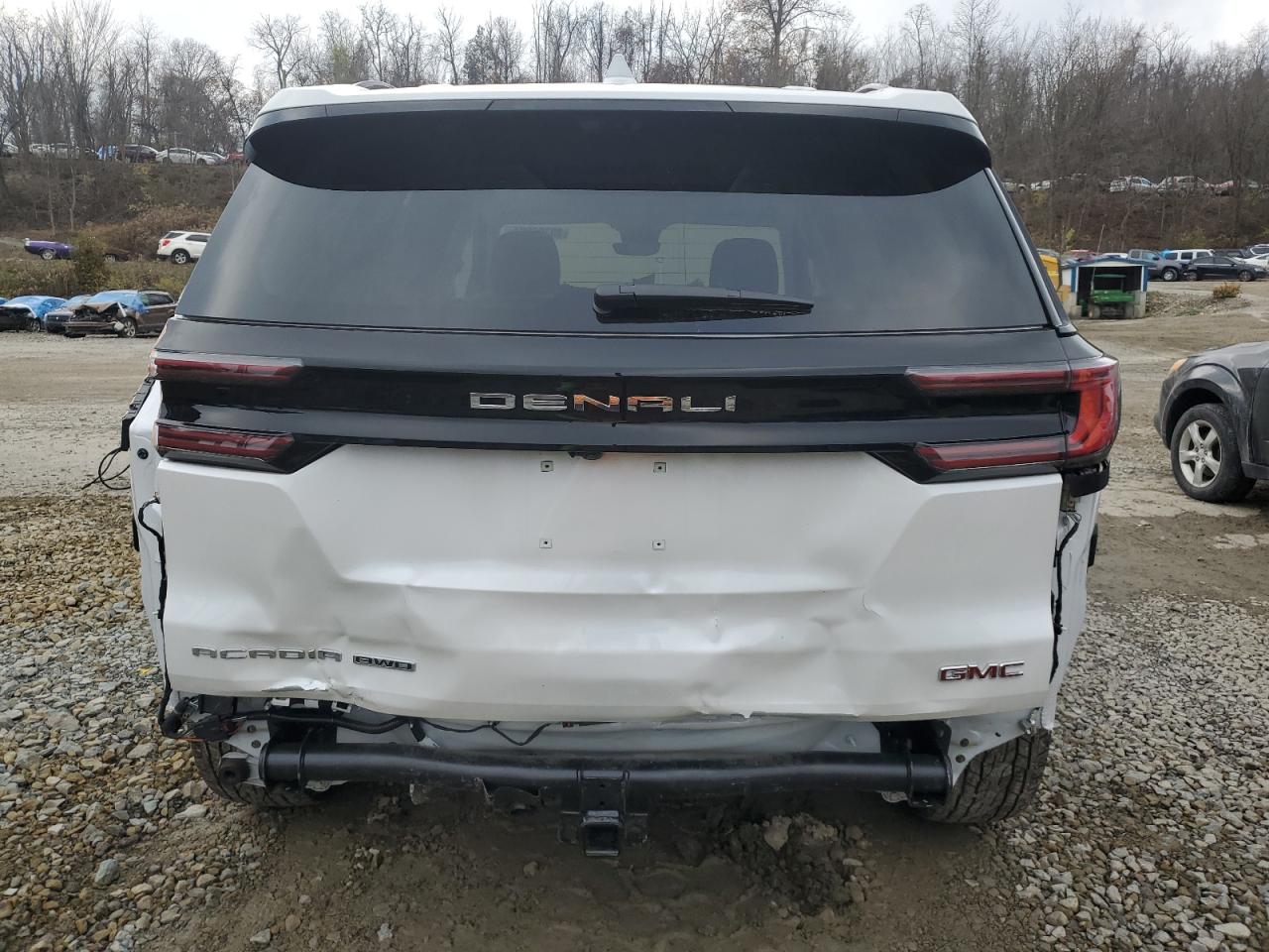 2024 GMC Acadia VIN: 1GKENRKS8RJ223909 Lot: 80306294