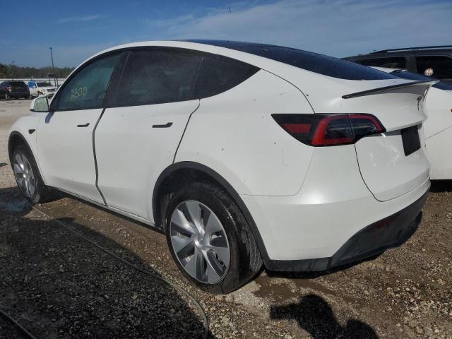  TESLA MODEL Y 2023 Белы