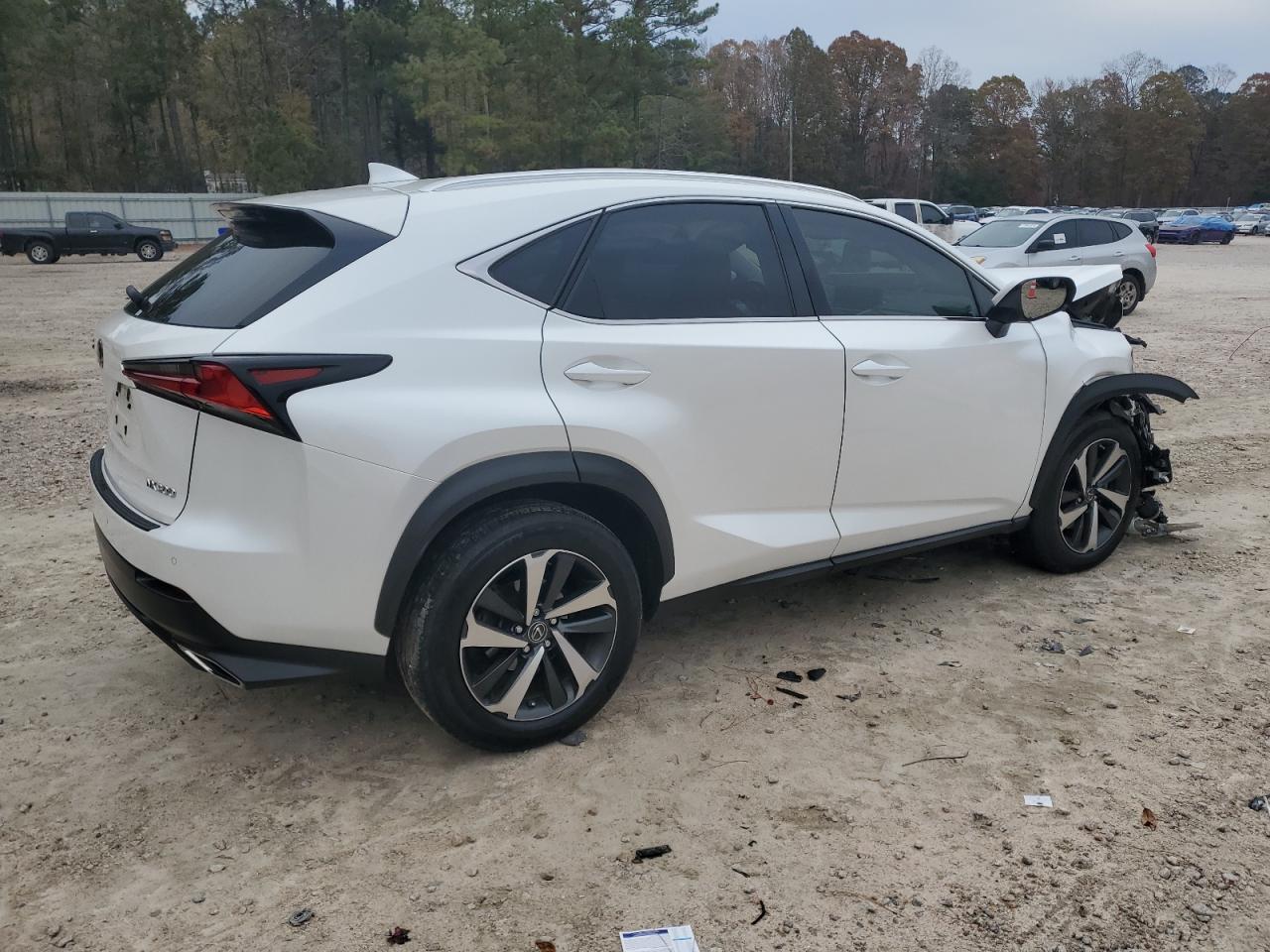 VIN JTJGARDZ3L5007277 2020 LEXUS NX no.3