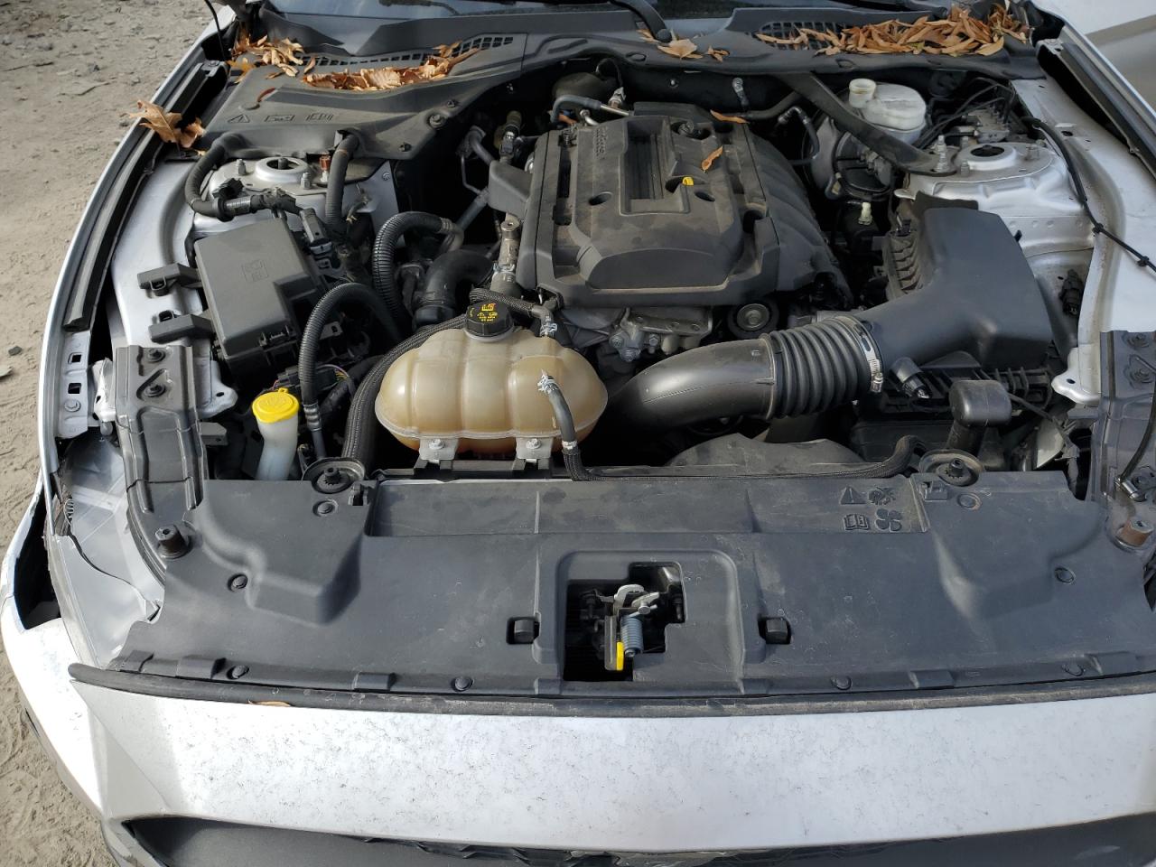 2019 Ford Mustang VIN: 1FATP8UH8K5151851 Lot: 79865264