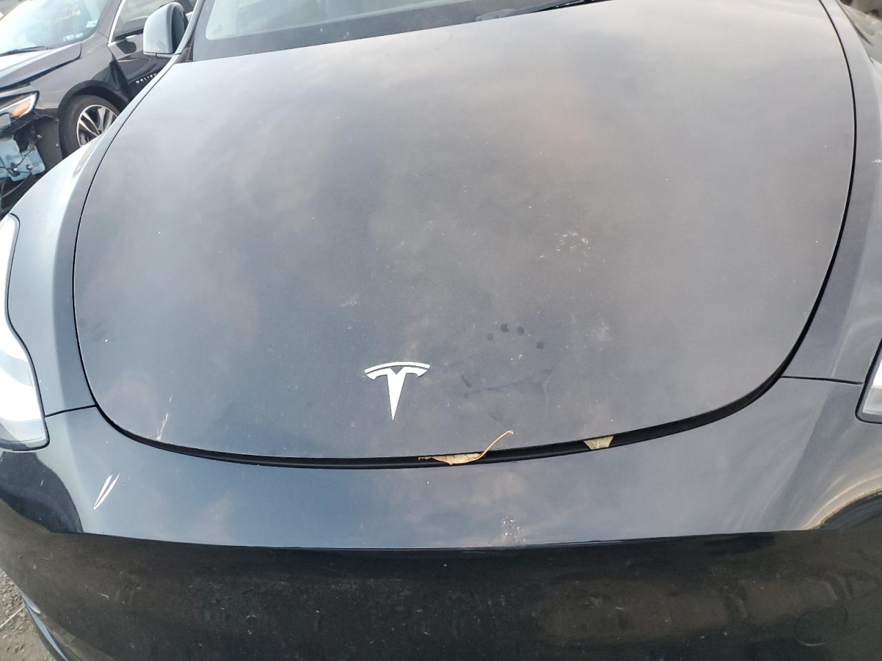 2023 Tesla Model Y VIN: 7SAYGDEE3PA077113 Lot: 77854084