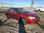 2008 Toyota Corolla Ce zu verkaufen in Cicero, IN - Front End